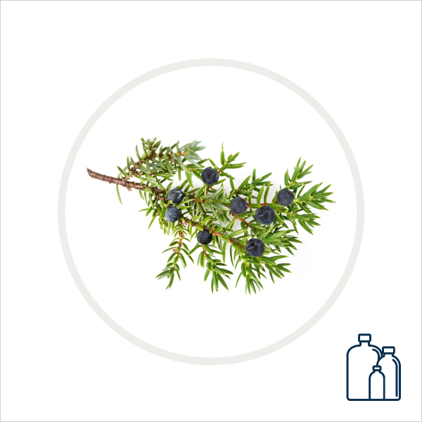 Juniper Seed Hydrosol