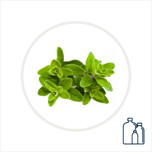 Marjoram Hydrosol