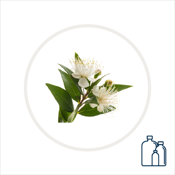 Myrtle Hydrosol